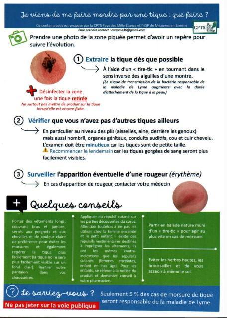 Fiche Conseils sur la morsure de Tique